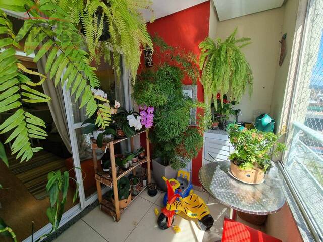 #AP509 - Apartamento para Venda em São José - SC - 3